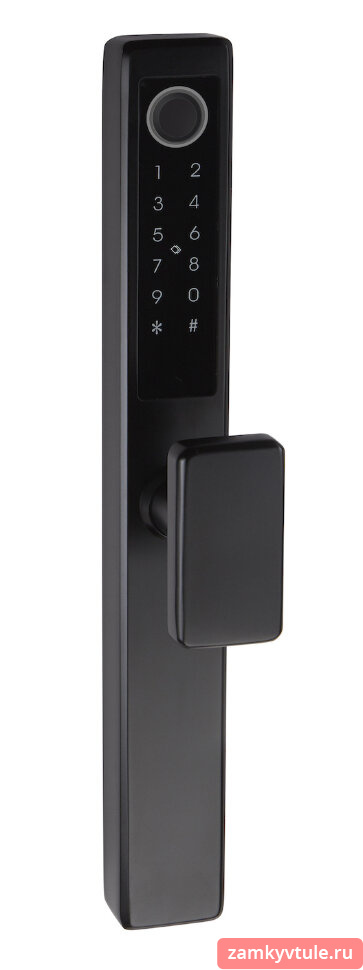 Биометрический замок TTL REX V2 (BLACK) без мортизы